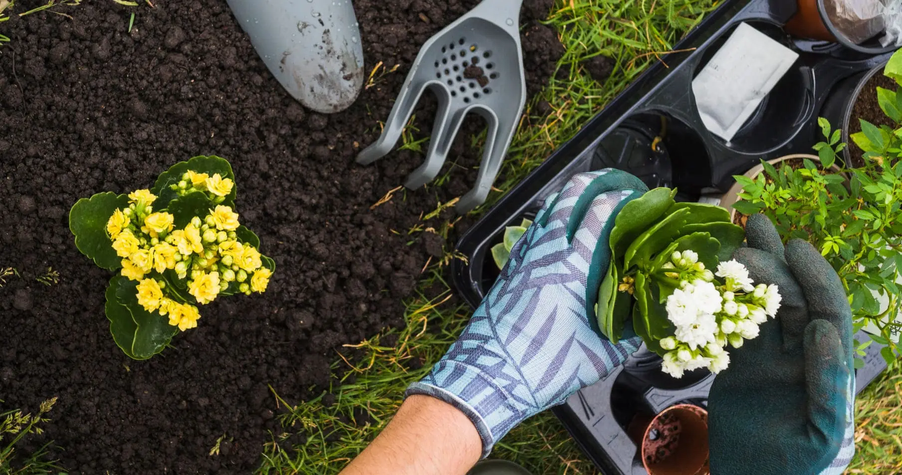 jasa perawatan taman, jasa rawat taman, jasa perawatan taman, harga perawatan taman per meter, jasa perawatan tanaman, biaya perawatan taman, jasa perawatan taman rumah