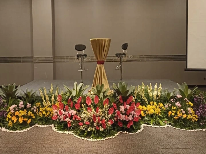 sewa tanaman, sewa tanaman hias, rental tanaman hias, rental tanaman, harga sewa tanaman hias indoor kantor, sewa tanaman indoor, harga sewa tanaman hias untuk panggung, jasa sewa tanaman hias, sewa tanaman hias untuk panggung, sewa tanaman kantor, harga sewa tanaman hias, harga sewa tanaman hias untuk kantor, jasa sewa tanaman indoor, paket sewa tanaman hias, penyewaan tanaman, penyewaan tanaman hias, rental tanaman hias indoor, sewa bunga hias, sewa tanaman dekorasi, sewa tanaman hias untuk kantor, sewa tanaman hidup, sewa tanaman untuk event, sewa tanaman untuk kantor, tanaman rental