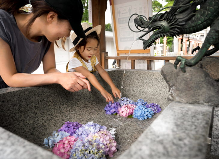 Cara Membuat Kolam Hias Mini di Sudut Taman