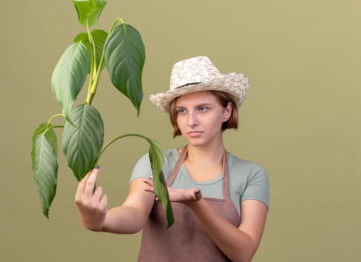 Cara Membuat Kompos Cepat Jadi dari Daun dan Ranting (Metode 30–45 Hari)