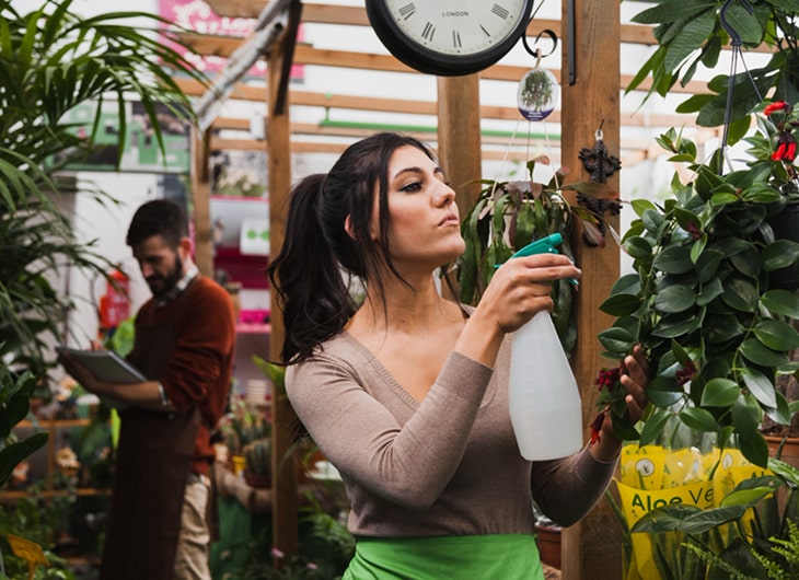 Cara Membuat Taman dengan Tema Tropis yang Elegan