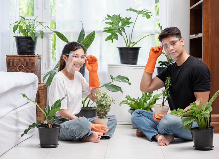 Cara Membuat Taman Indoor yang Segar dan Estetis