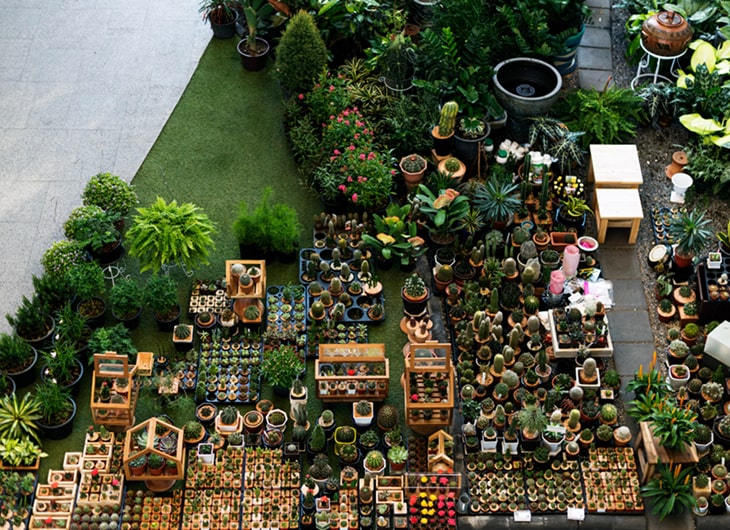 Cara Membuat Taman Vertikal dari Barang Bekas