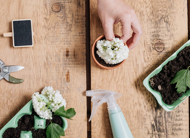 tukang taman, tukang taman terdekat, jasa taman, jasa tukang taman, tukang taman minimalis, pembuat taman, jasa taman terdekat, tukang taman vertikal, tukang taman murah, jasa taman murah, jasa tukang taman terdekat, jasa taman minimalis, harga jasa tukang taman, tukang taman hias, tukang taman profesional