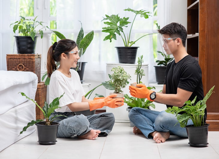 Cara Mendesain Taman yang Menyatu dengan Interior Rumah