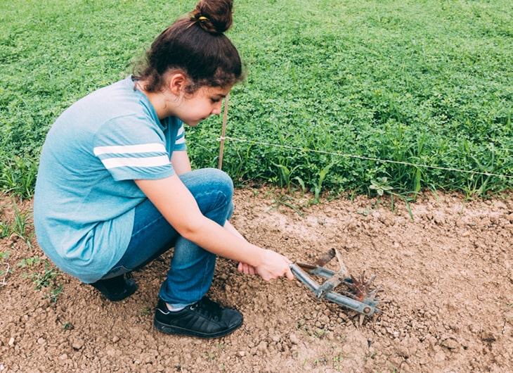 Cara Mengatur Drainase Agar Taman Tidak Becek