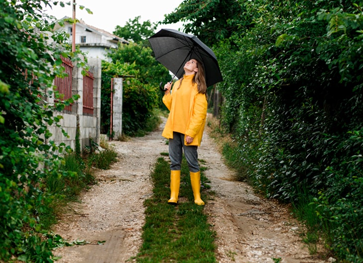 Cara Merawat Taman Setelah Musim Hujan agar Tetap Sehat dan Indah