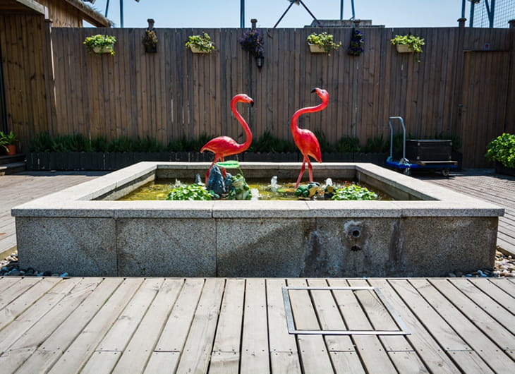 Desain Taman Rumah dengan Kombinasi Batu dan Air