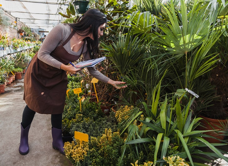Harga Perawatan Taman per Meter untuk Rumah dan Kantor