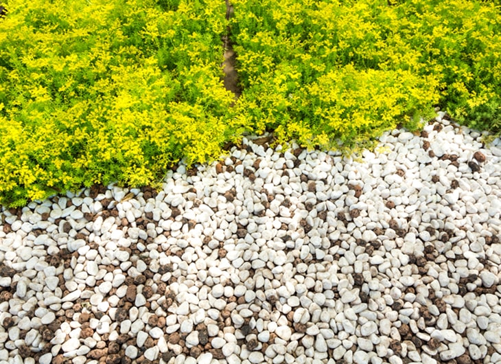 Inspirasi Taman Minimalis dengan Batu Alam dan Kerikil