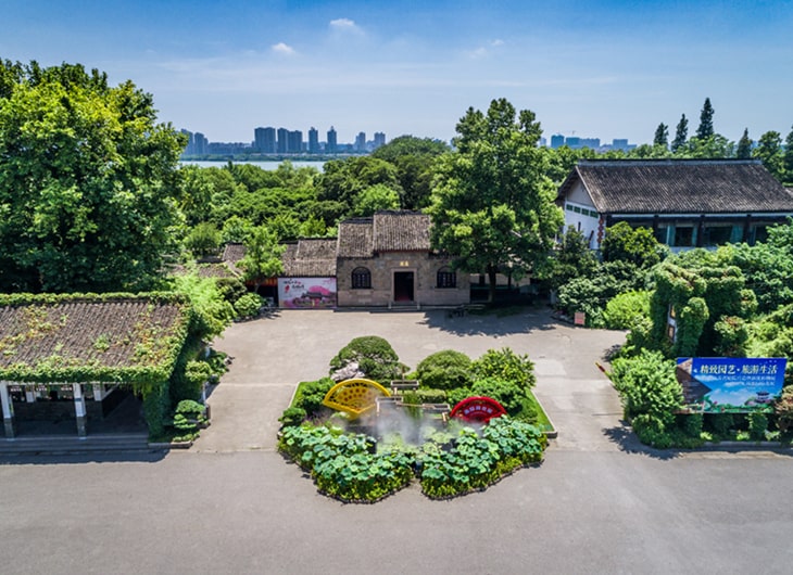 Jasa Desain Taman Rumah untuk Area Perkotaan