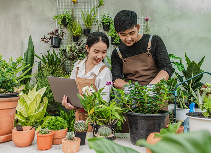 Jasa Pembuatan Taman dan Lanskap untuk Perkantoran: Investasi Nyata untuk Lingkungan Kerja yang Lebi