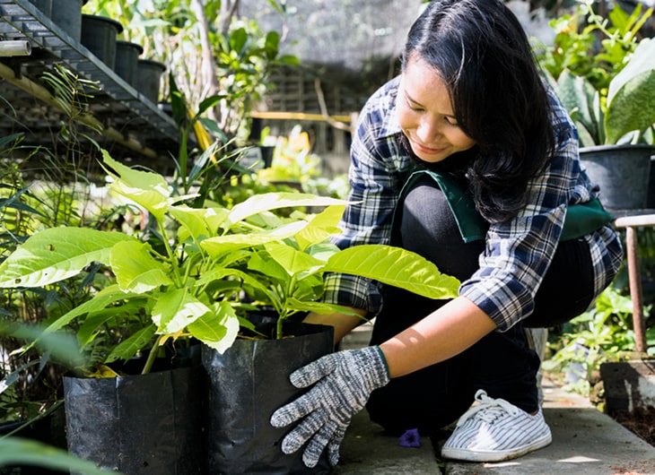 Jasa Pembuatan Taman Depan Rumah Murah dan Berkualitas