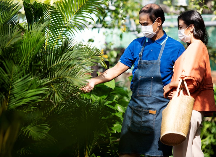 Jasa Pembuatan Taman di Jakarta: Rekomendasi dan Biaya