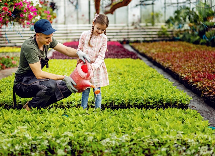 Jasa Pembuatan Taman di Jogja: Desain dan Harga Terbaik