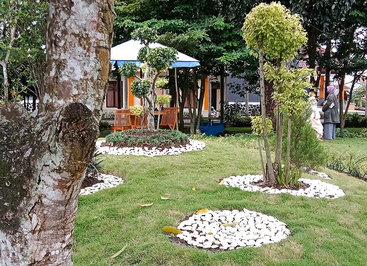 Jasa Pembuatan Taman Vertikal untuk Ruang Sempit