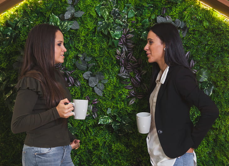 Jasa Taman Vertikal dan Dinding Hidup untuk Kantor