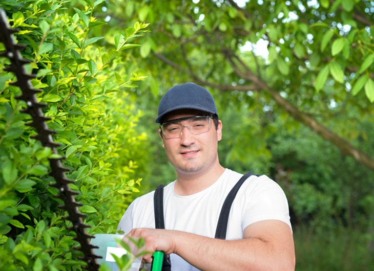 Jasa Tukang Taman Landscape Profesional Jakarta – Solusi Taman Indah & Berkualitas