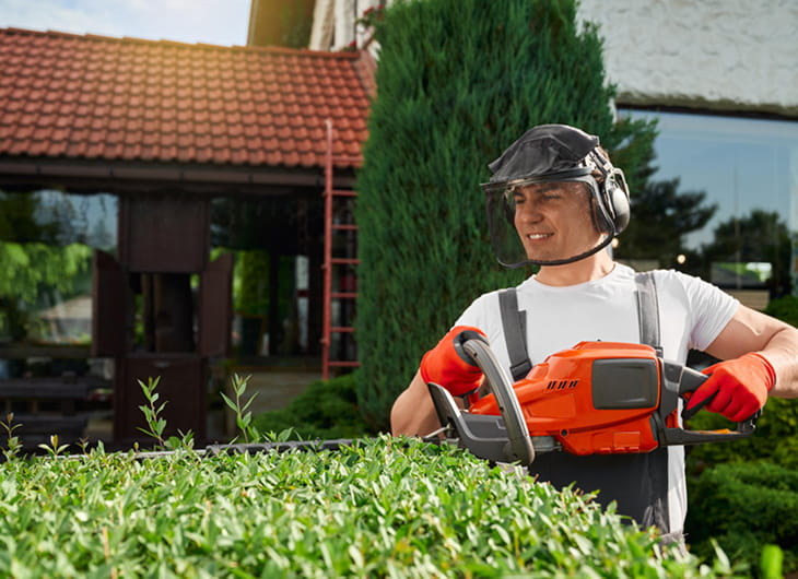 jasa tebang pohon bekasi, jasa potong pohon bekasi, tukang tebang pohon bekasi, jasa tebang pohon gratis bekasi