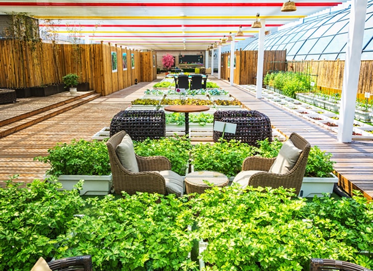 Jasa Vertical Garden untuk Kantor dan Rumah Modern