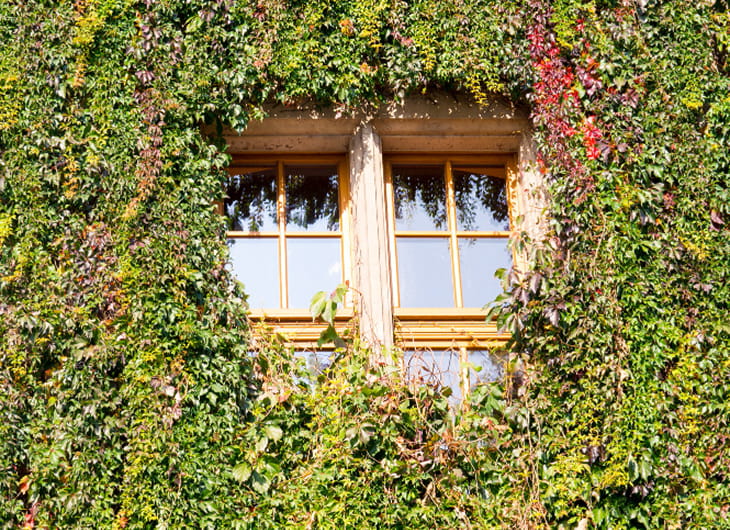 jasa pembuatan taman, jasa buat taman, jasa taman minimalis, jasa taman murah, jasa pembuatan taman terdekat, jasa pembuatan vertical garden, jasa bikin taman, jasa pembuatan taman minimalis, harga borongan bikin taman, jasa buat taman terdekat, jasa pembuatan taman kantor, jasa pembuatan taman rumah