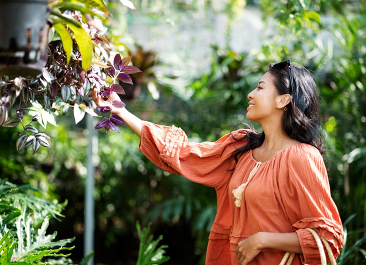 Manfaat Vertical Garden bagi Lingkungan dan Estetika