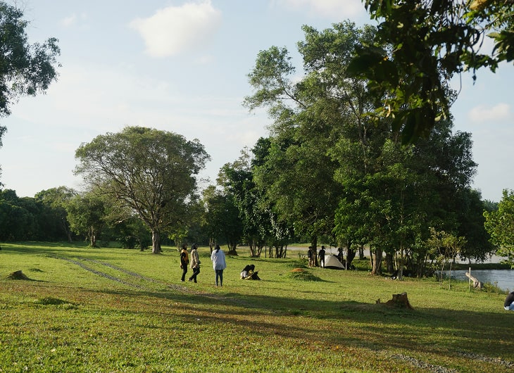 Pembuatan Taman dengan Desain Futuristik