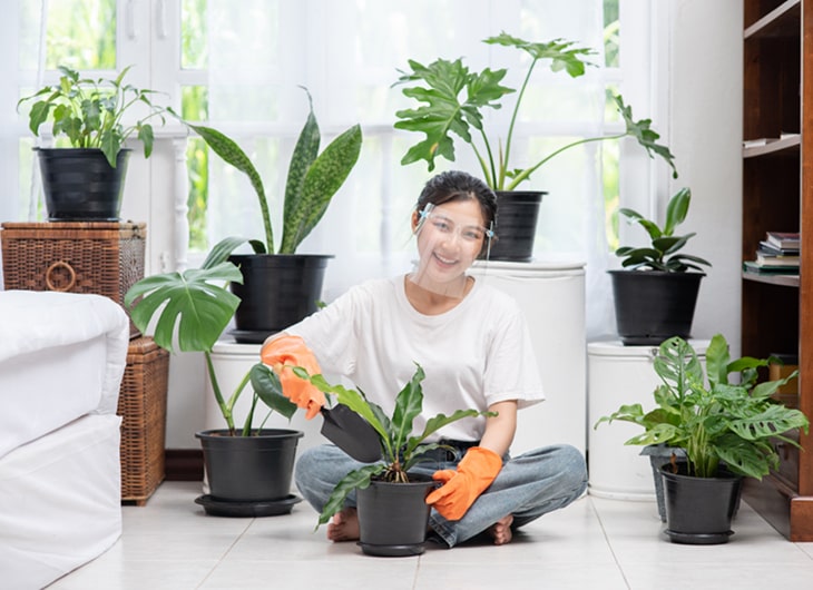Perawatan Taman Indoor untuk Hunian Modern