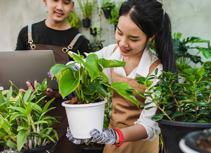 Perawatan Tanaman Kantor agar Tetap Sehat dan Segar