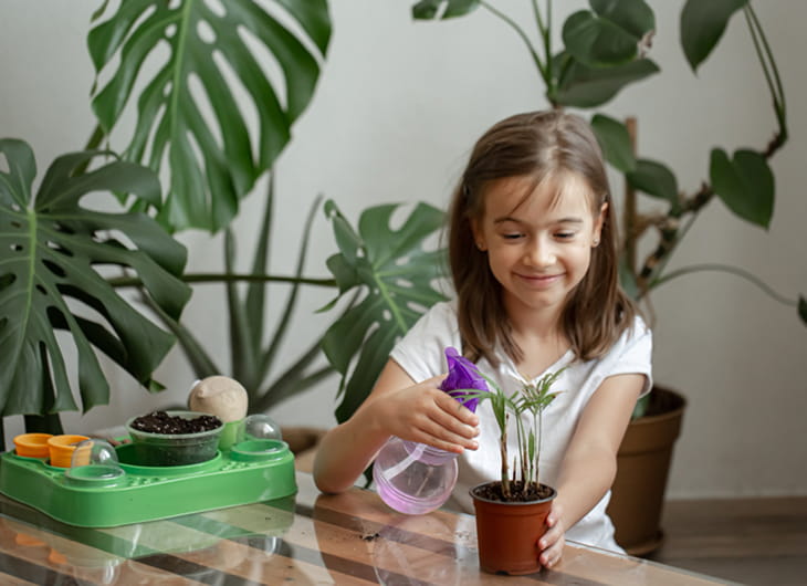 Rekomendasi Tanaman untuk Rumah dengan Anak Kecil (Minim Duri & Aman)