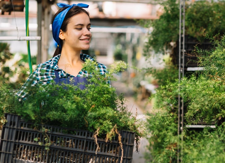 Solusi Taman Modern untuk Hunian dan Bisnis Perkotaan
