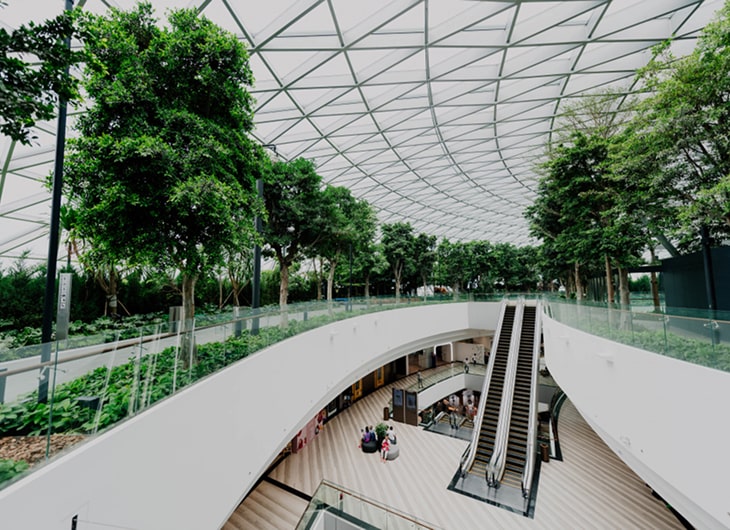 Taman di Atap Gedung: Solusi Hijau di Perkotaan