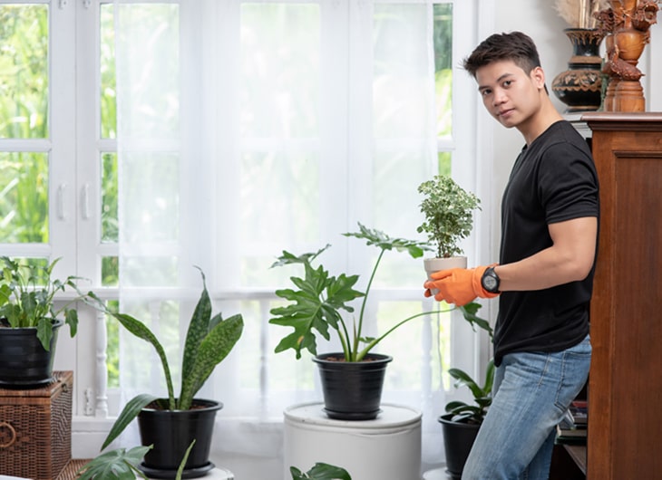 Taman Indoor Minimalis: Inspirasi dan Cara Perawatannya