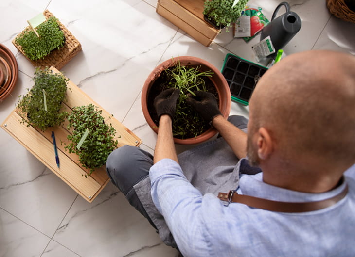 Tanaman untuk Halaman Sempit yang Tetap Terlihat “Penuh”