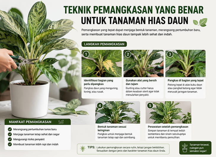 Teknik Pemangkasan yang Benar untuk Tanaman Hias Daun