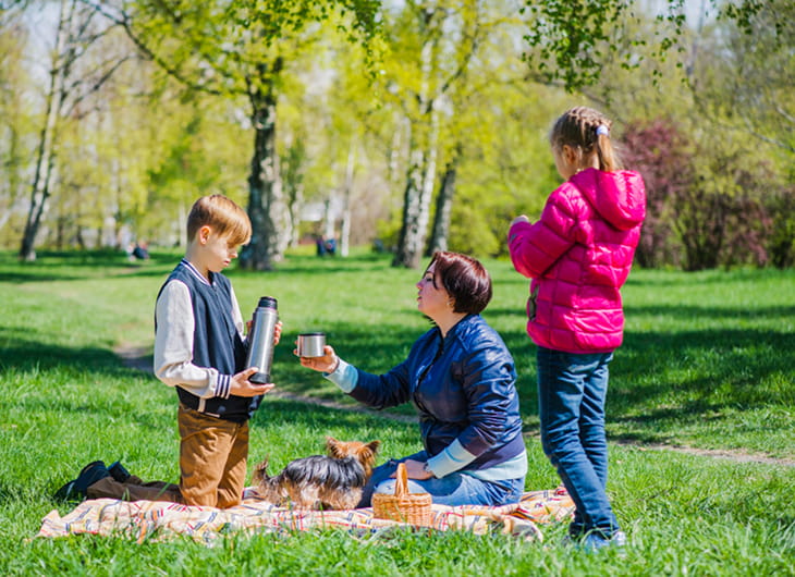 Tips Membuat Taman yang Ramah Anak dan Hewan