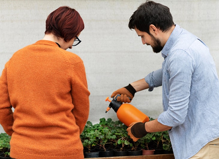 jasa perawatan taman, jasa rawat taman, jasa perawatan taman, harga perawatan taman per meter, jasa perawatan tanaman, biaya perawatan taman, jasa perawatan taman rumah