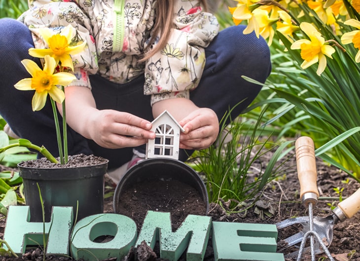 Tips Perawatan Taman untuk Rumah Type 36