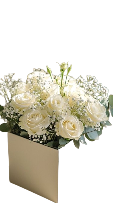 BOX BUNGA MAWAR