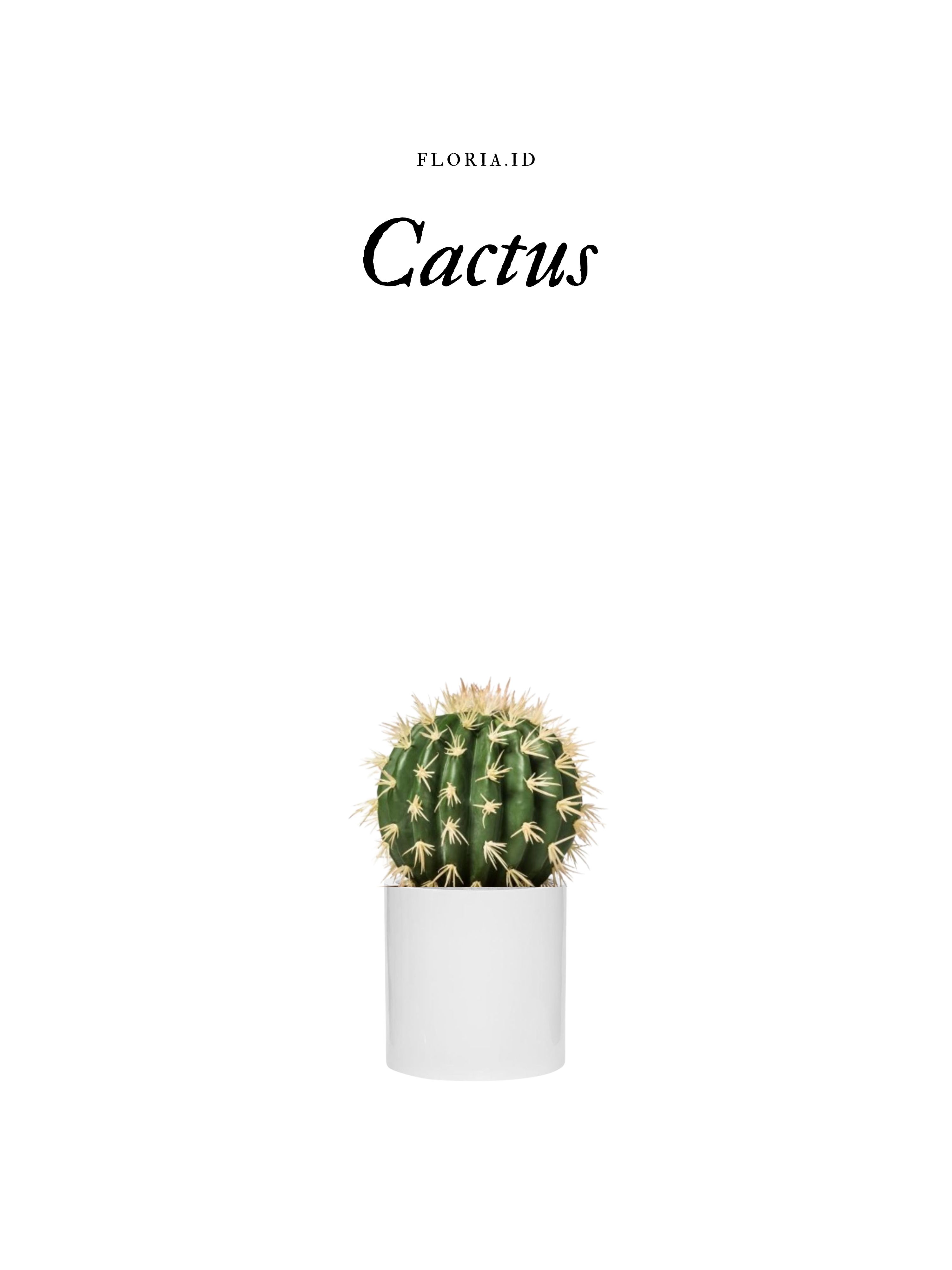 Cactus