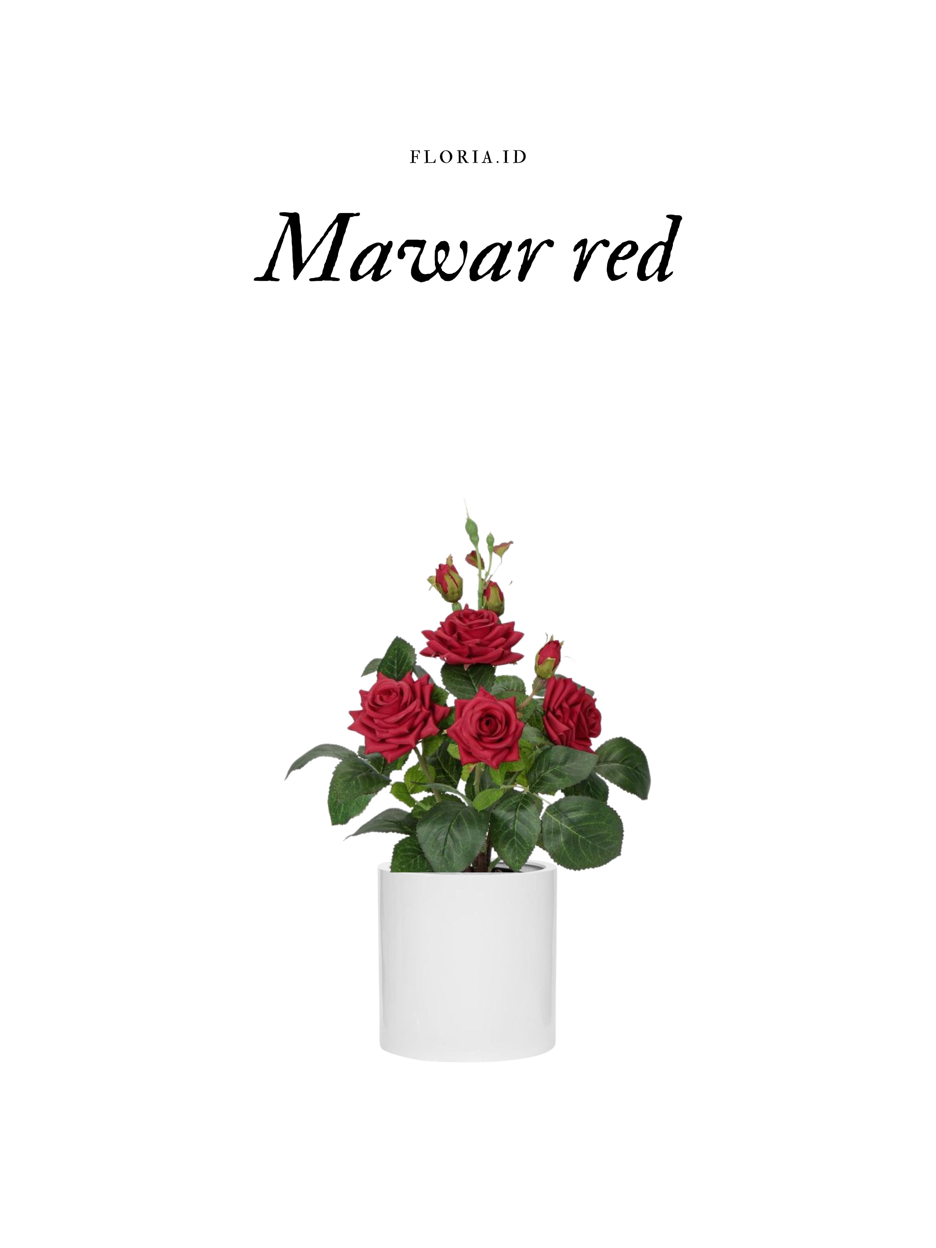 Mawar