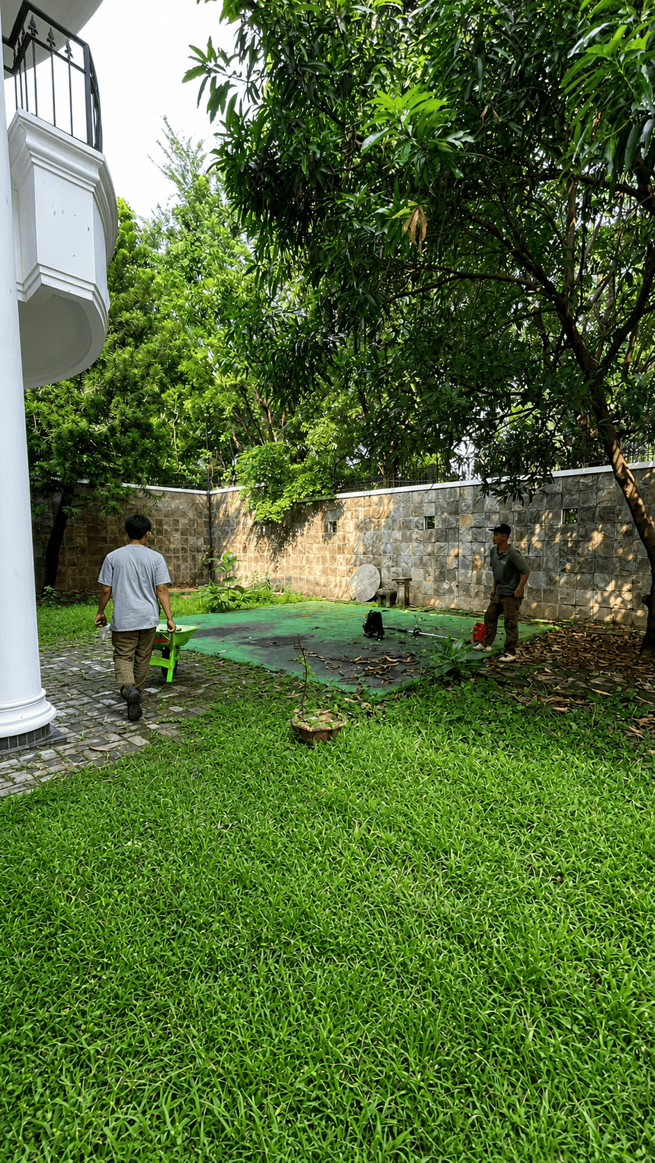 Potong Rumput