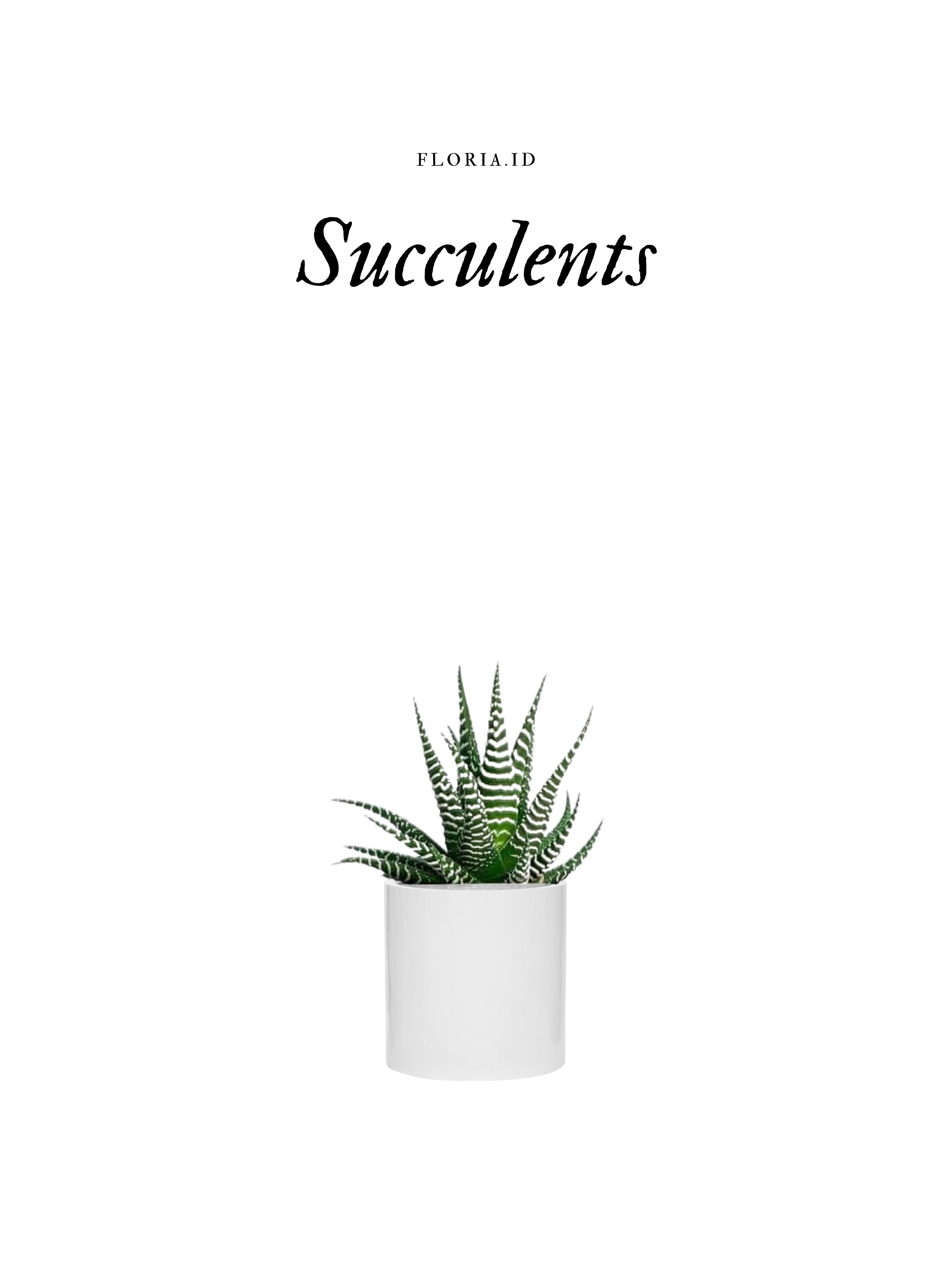 succulants