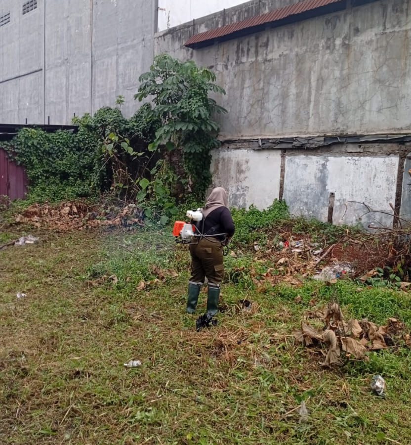 Jasa Potong Rumput