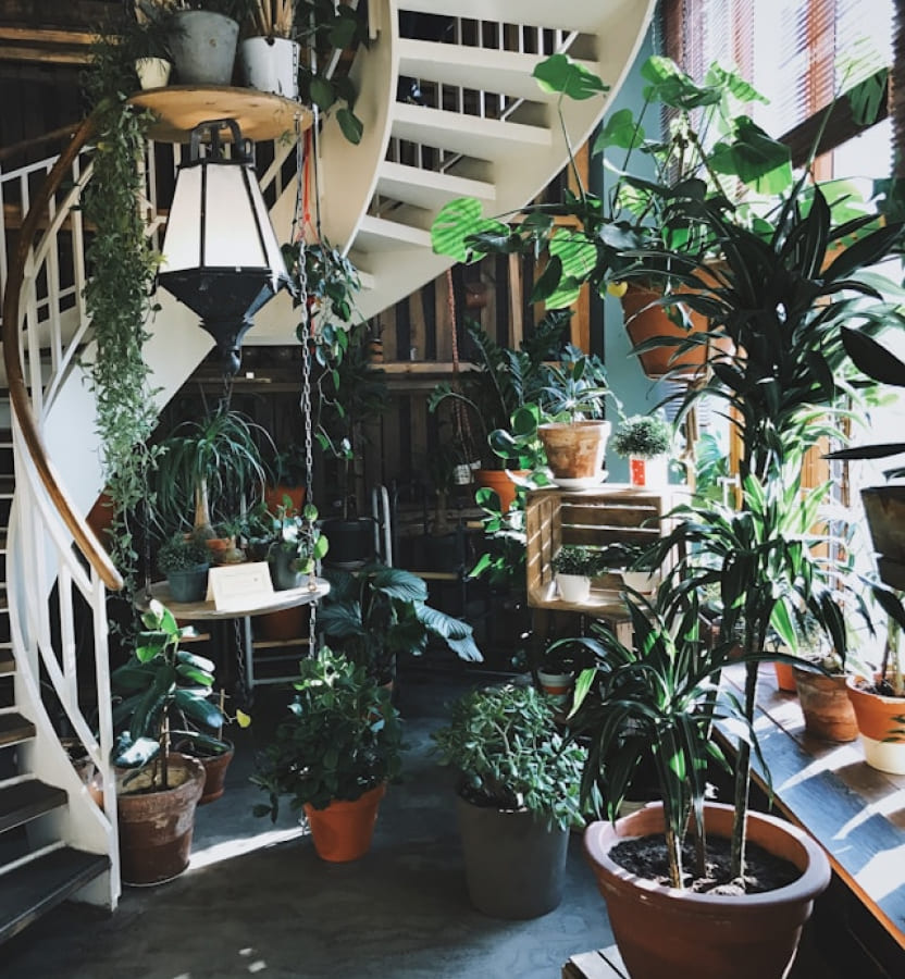 Taman Rumah Indoor