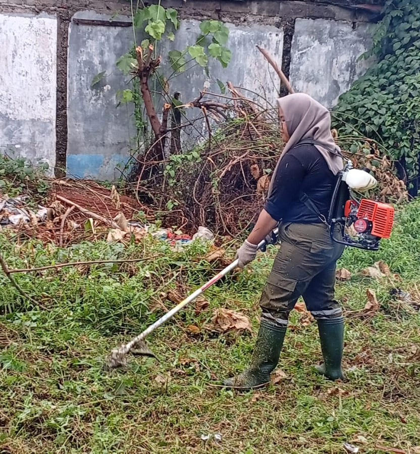 Potong Rumput
