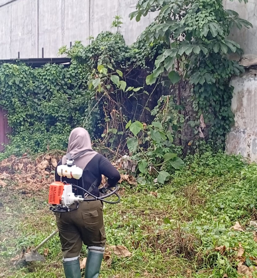 Pemotongan Rumput